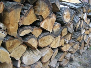 Locally Seasoned Firewood - Elkton MD - Ace Chimney Sweeps