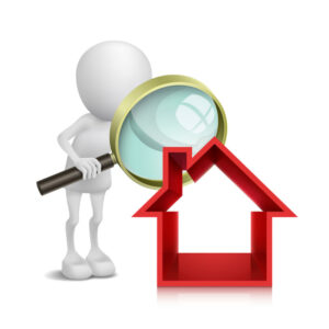 Chimney Inspection Image - Elkton MD - Ace Chimney Sweeps