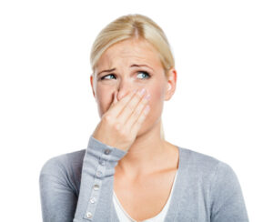 Spring and Summer Chimney Odors - Elkton MD - Ace Chimney